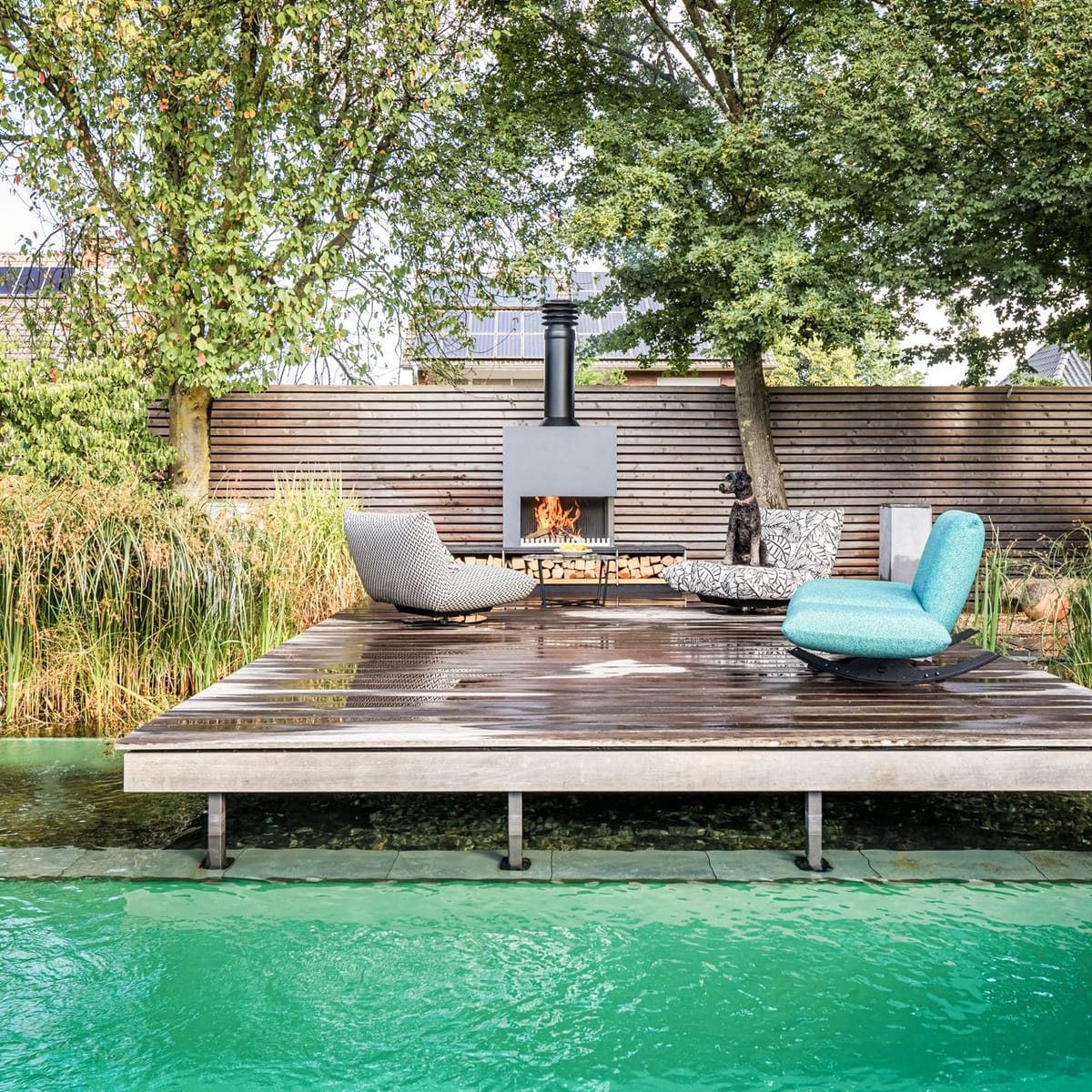 Natural pool with a wooden deck, lounge chairs and a freestanding wood-burning fireplace, dog on a chair, trees behind